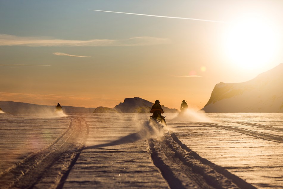 Snowmobiles at golden hour